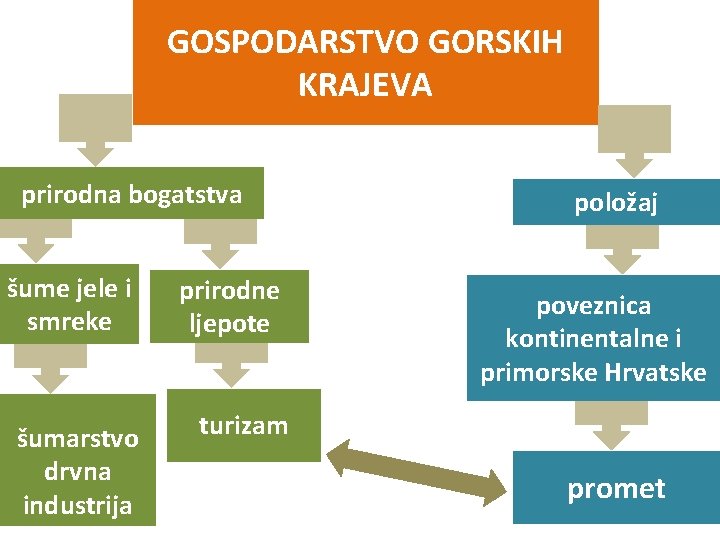 GOSPODARSTVO GORSKIH KRAJEVA prirodna bogatstva šume jele i smreke prirodne ljepote šumarstvo drvna industrija