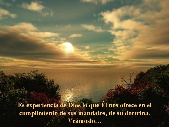 Es experiencia de Dios lo que Él nos ofrece en el cumplimiento de sus