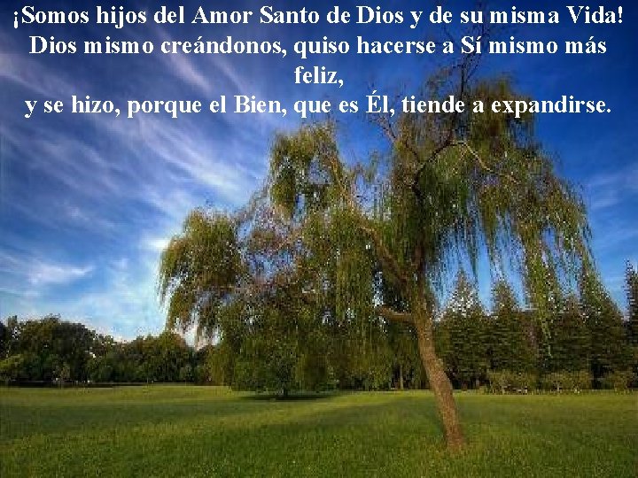 ¡Somos hijos del Amor Santo de Dios y de su misma Vida! Dios mismo