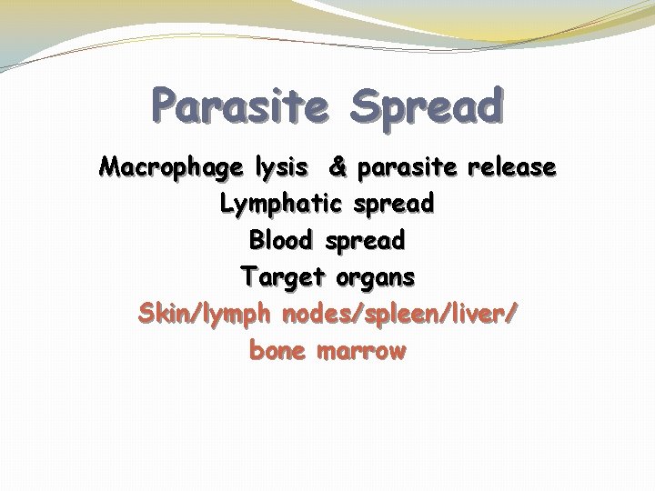 Parasite Spread Macrophage lysis & parasite release Lymphatic spread Blood spread Target organs Skin/lymph