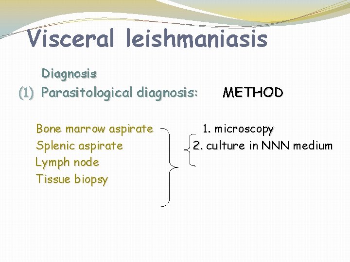 Visceral leishmaniasis Diagnosis (1) Parasitological diagnosis: Bone marrow aspirate Splenic aspirate Lymph node Tissue