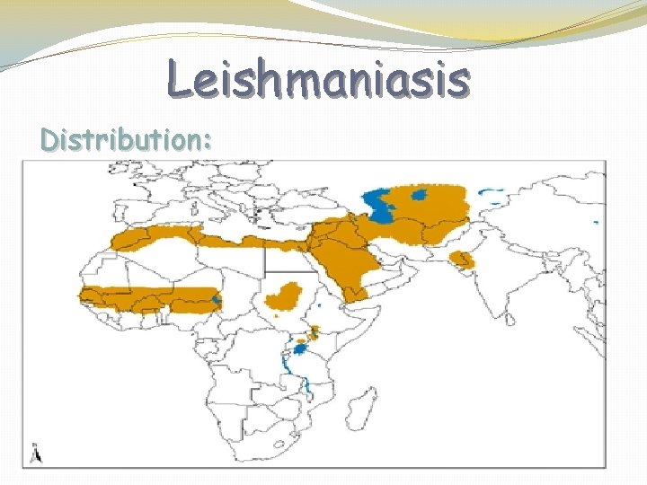 Leishmaniasis Distribution: 