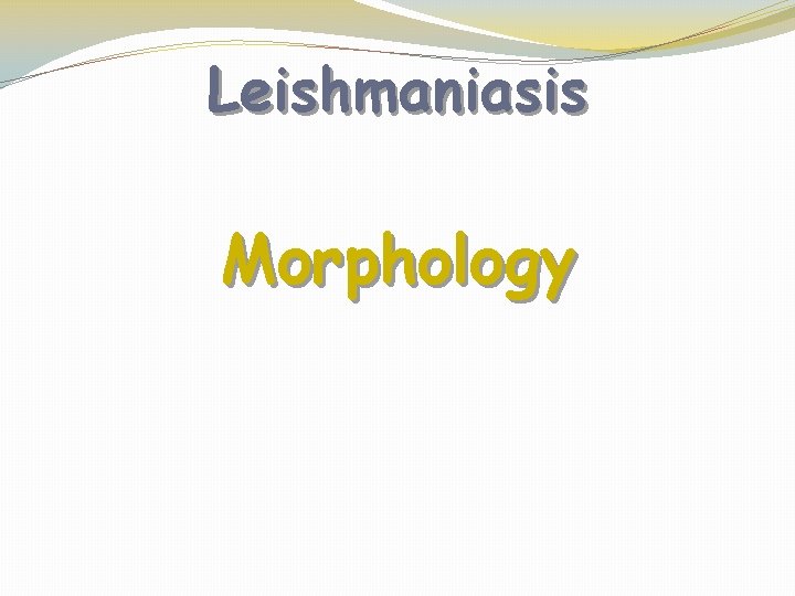 Leishmaniasis Morphology 