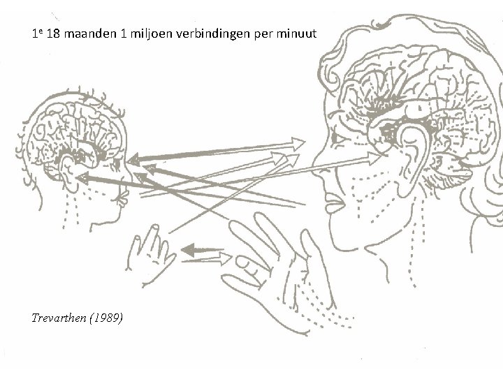 1 e 18 maanden 1 miljoen verbindingen per minuut Trevarthen (1989) 