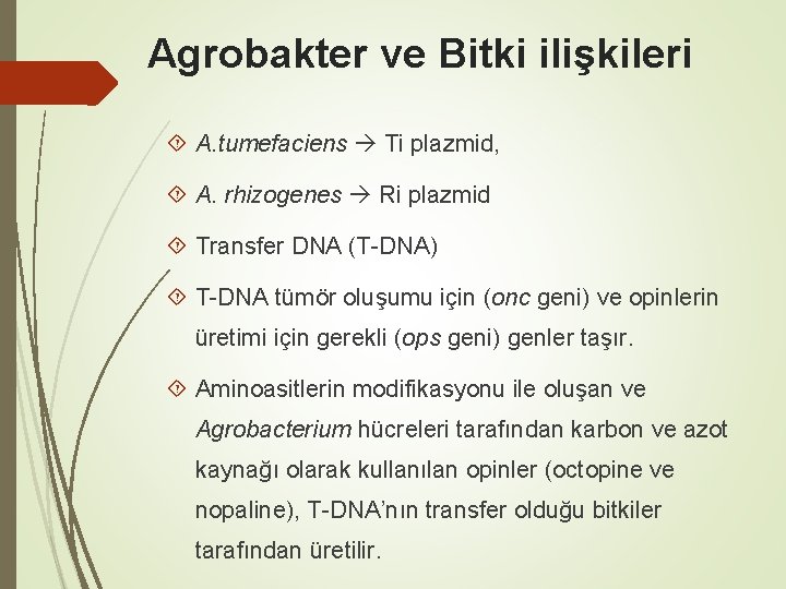Agrobakter ve Bitki ilişkileri A. tumefaciens Ti plazmid, A. rhizogenes Ri plazmid Transfer DNA