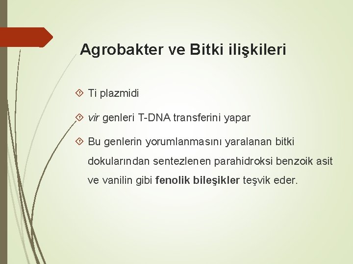 Agrobakter ve Bitki ilişkileri Ti plazmidi vir genleri T-DNA transferini yapar Bu genlerin yorumlanmasını