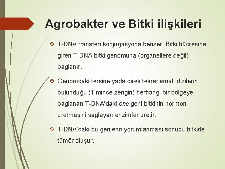 Agrobakter ve Bitki ilişkileri T-DNA transferi konjugasyona benzer. Bitki hücresine giren T-DNA bitki genomuna