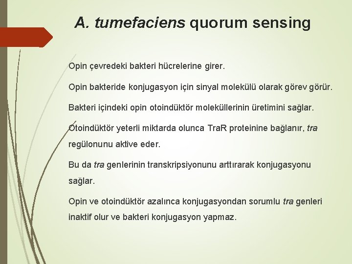 A. tumefaciens quorum sensing Opin çevredeki bakteri hücrelerine girer. Opin bakteride konjugasyon için sinyal