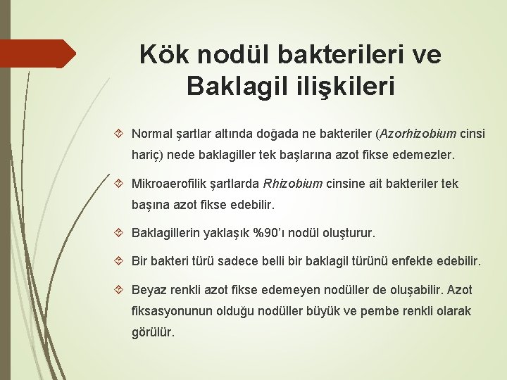 Kök nodül bakterileri ve Baklagil ilişkileri Normal şartlar altında doğada ne bakteriler (Azorhizobium cinsi