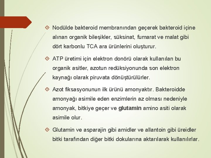  Nodülde bakteroid membranından geçerek bakteroid içine alınan organik bileşikler, süksinat, fumarat ve malat