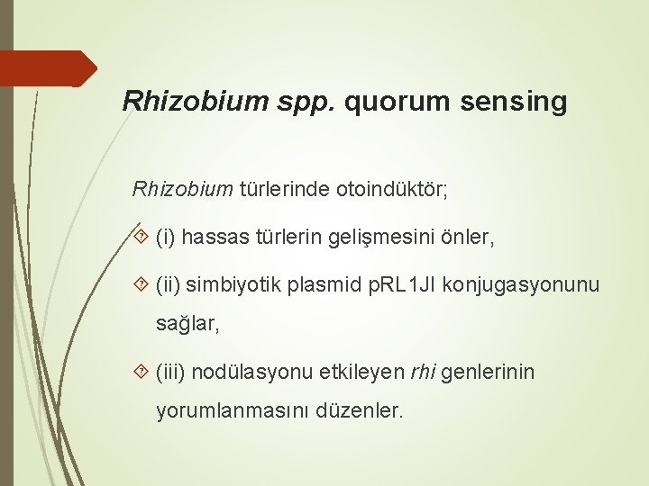 Rhizobium spp. quorum sensing Rhizobium türlerinde otoindüktör; (i) hassas türlerin gelişmesini önler, (ii) simbiyotik