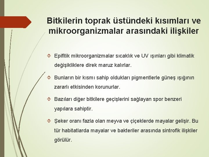 Bitkilerin toprak üstündeki kısımları ve mikroorganizmalar arasındaki ilişkiler Epifitik mikroorganizmalar sıcaklık ve UV ışınları