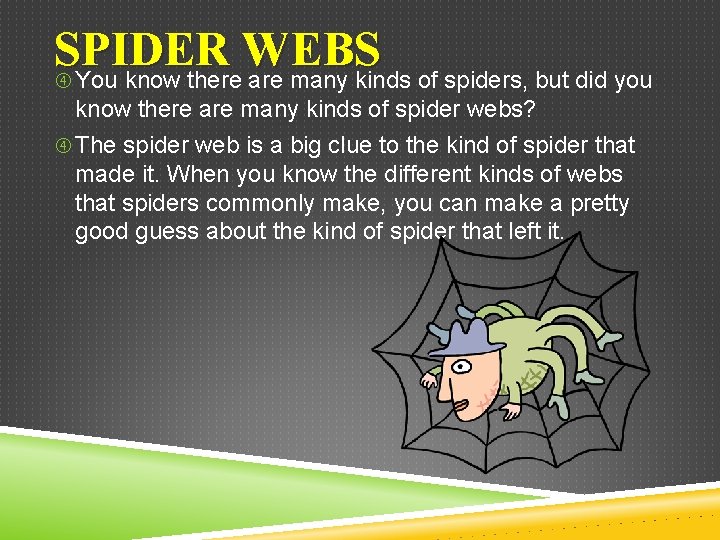 SPIDER WEBS You know there are many kinds of spiders, but did you know