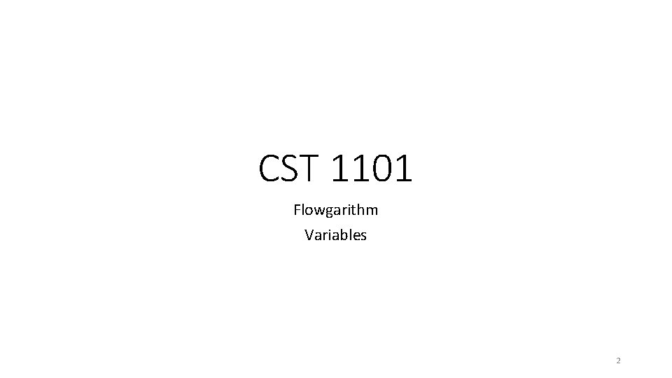 CST 1101 Flowgarithm Variables 2 