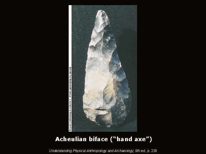 Acheulian biface (“hand axe”) Understanding Physical Anthropology and Archaeology, 9 th ed. , p.