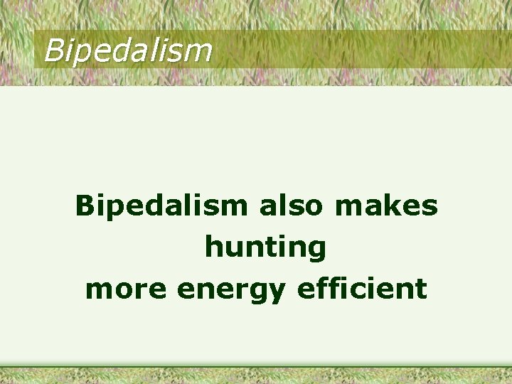 Bipedalism also makes hunting more energy efficient 