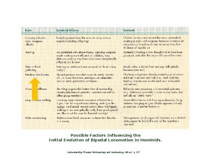 Possible Factors Influencing the Initial Evolution of Bipedal Locomotion in Hominids. Understanding Physical Anthropology