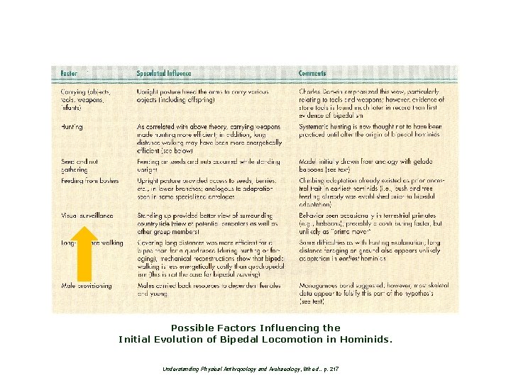 Possible Factors Influencing the Initial Evolution of Bipedal Locomotion in Hominids. Understanding Physical Anthropology