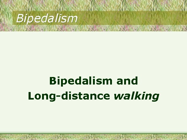 Bipedalism and Long-distance walking 
