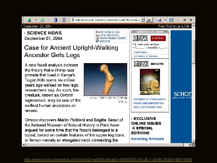 http: //www. sciam. com/article. cfm? chan. ID=sa 003&article. ID=0008 EB 7 D-BC 26 -1138