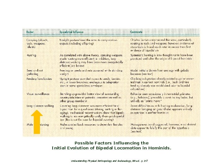 Possible Factors Influencing the Initial Evolution of Bipedal Locomotion in Hominids. Understanding Physical Anthropology