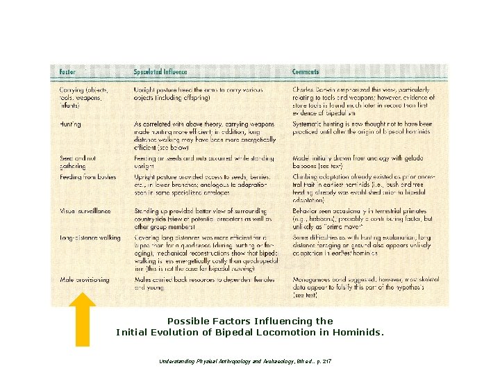 Possible Factors Influencing the Initial Evolution of Bipedal Locomotion in Hominids. Understanding Physical Anthropology