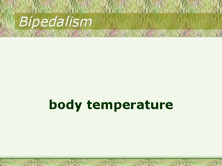 Bipedalism body temperature 