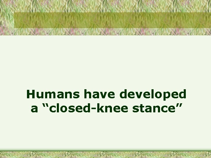 Humans have developed a “closed-knee stance” 