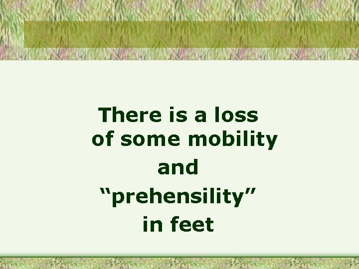 There is a loss of some mobility and “prehensility” in feet 