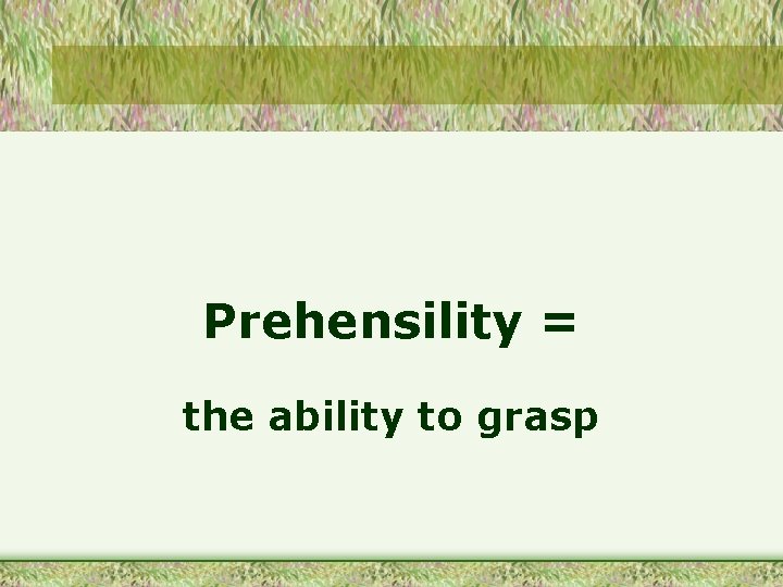 Prehensility = the ability to grasp 