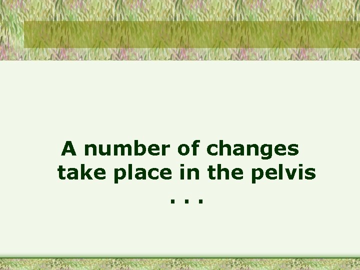 A number of changes take place in the pelvis. . . 
