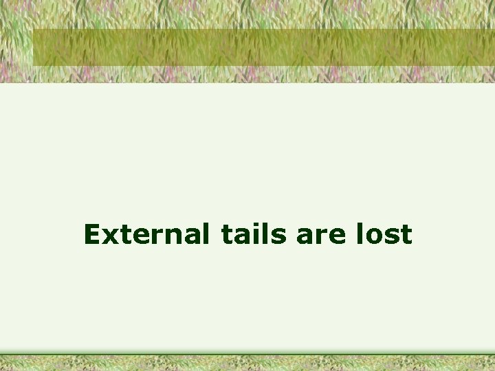 External tails are lost 