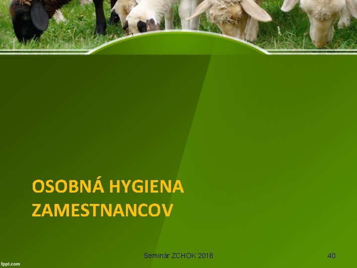 OSOBNÁ HYGIENA ZAMESTNANCOV Seminár ZCHOK 2018 40 