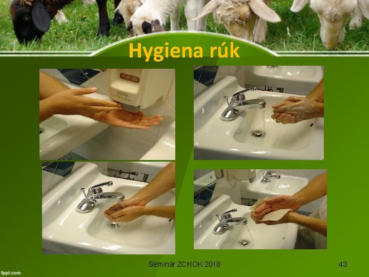 Hygiena rúk Seminár ZCHOK 2018 43 