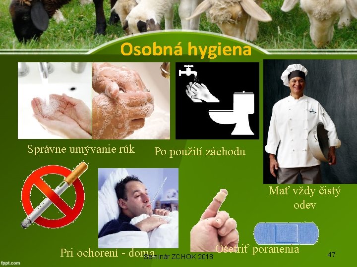 Osobná hygiena Správne umývanie rúk Po použití záchodu Mať vždy čistý odev Ošetriť poranenia