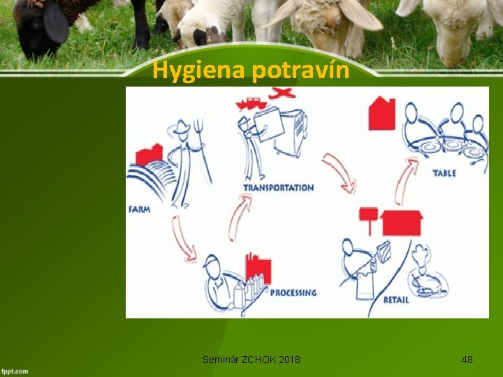 Hygiena potravín Seminár ZCHOK 2018 48 