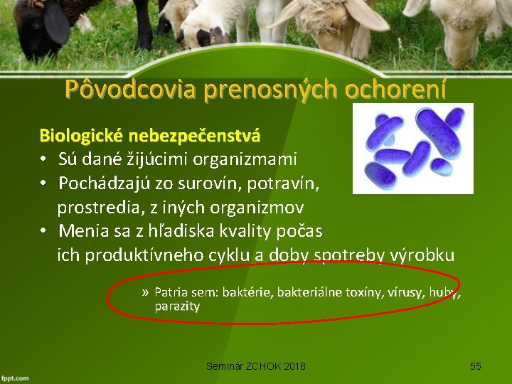 Pôvodcovia prenosných ochorení Biologické nebezpečenstvá • Sú dané žijúcimi organizmami • Pochádzajú zo surovín,