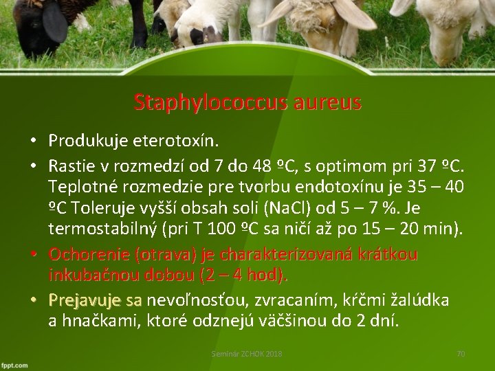 Staphylococcus aureus • Produkuje eterotoxín. • Rastie v rozmedzí od 7 do 48 ºC,