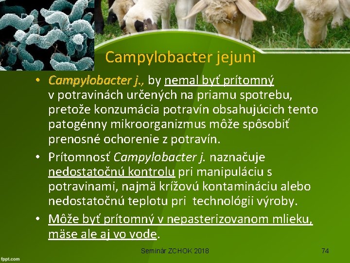 Campylobacter jejuni • Campylobacter j. , by nemal byť prítomný Campylobacter j. v potravinách