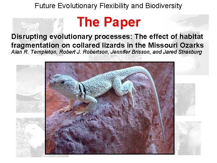 Future Evolutionary Flexibility and Biodiversity The Paper Disrupting evolutionary processes: The effect of habitat