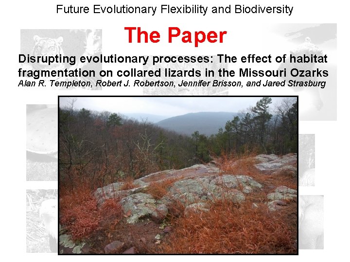 Future Evolutionary Flexibility and Biodiversity The Paper Disrupting evolutionary processes: The effect of habitat