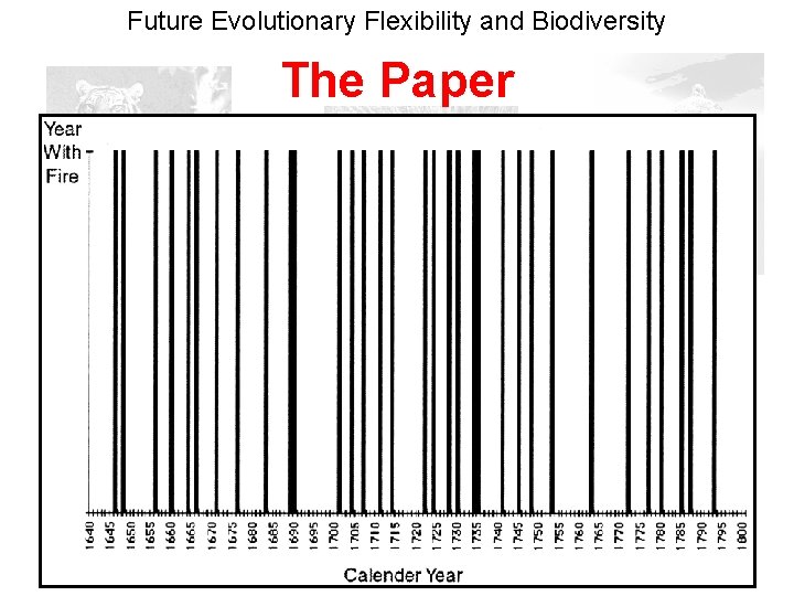 Future Evolutionary Flexibility and Biodiversity The Paper 