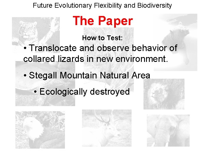 Future Evolutionary Flexibility and Biodiversity The Paper How to Test: • Translocate and observe