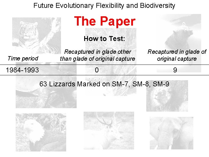 Future Evolutionary Flexibility and Biodiversity The Paper How to Test: Time period Recaptured in