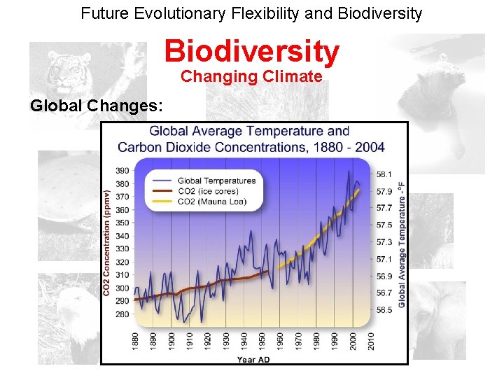 Future Evolutionary Flexibility and Biodiversity Changing Climate Global Changes: 