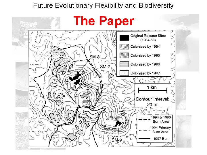 Future Evolutionary Flexibility and Biodiversity The Paper 