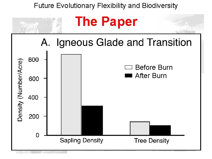 Future Evolutionary Flexibility and Biodiversity The Paper Before Burn After Burn 