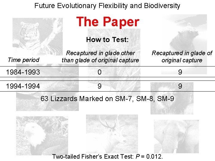 Future Evolutionary Flexibility and Biodiversity The Paper How to Test: Time period Recaptured in