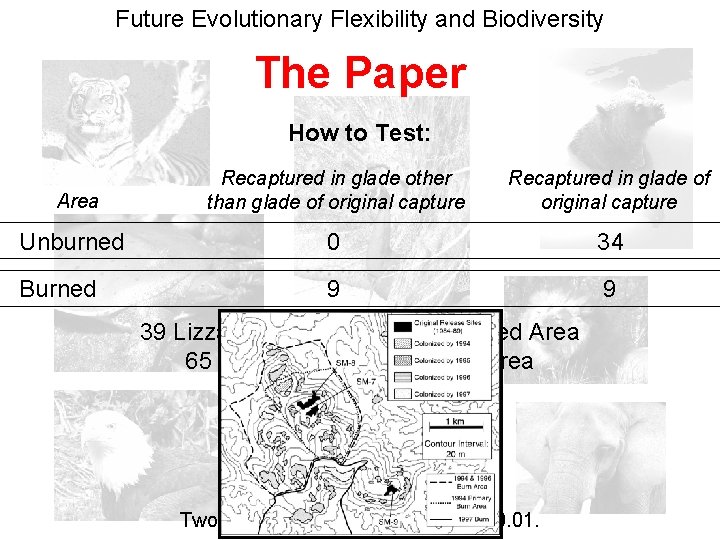 Future Evolutionary Flexibility and Biodiversity The Paper How to Test: Recaptured in glade other