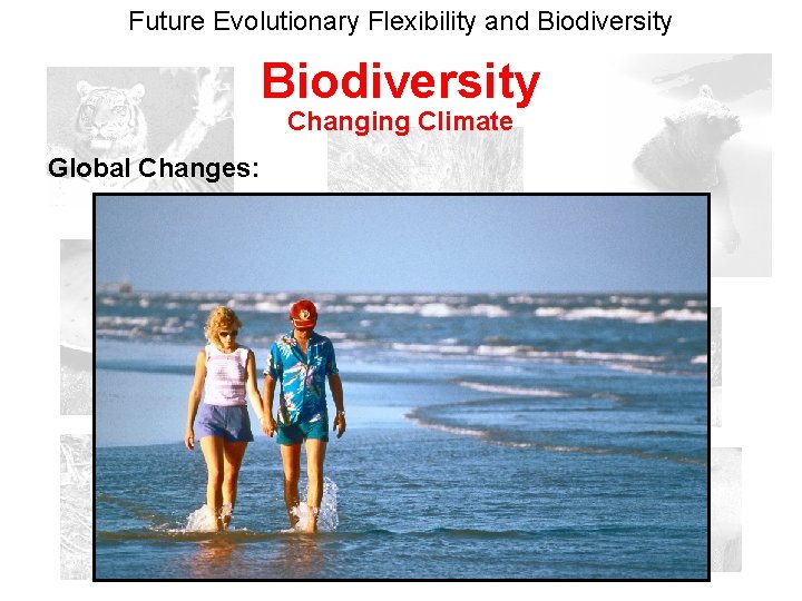 Future Evolutionary Flexibility and Biodiversity Changing Climate Global Changes: 